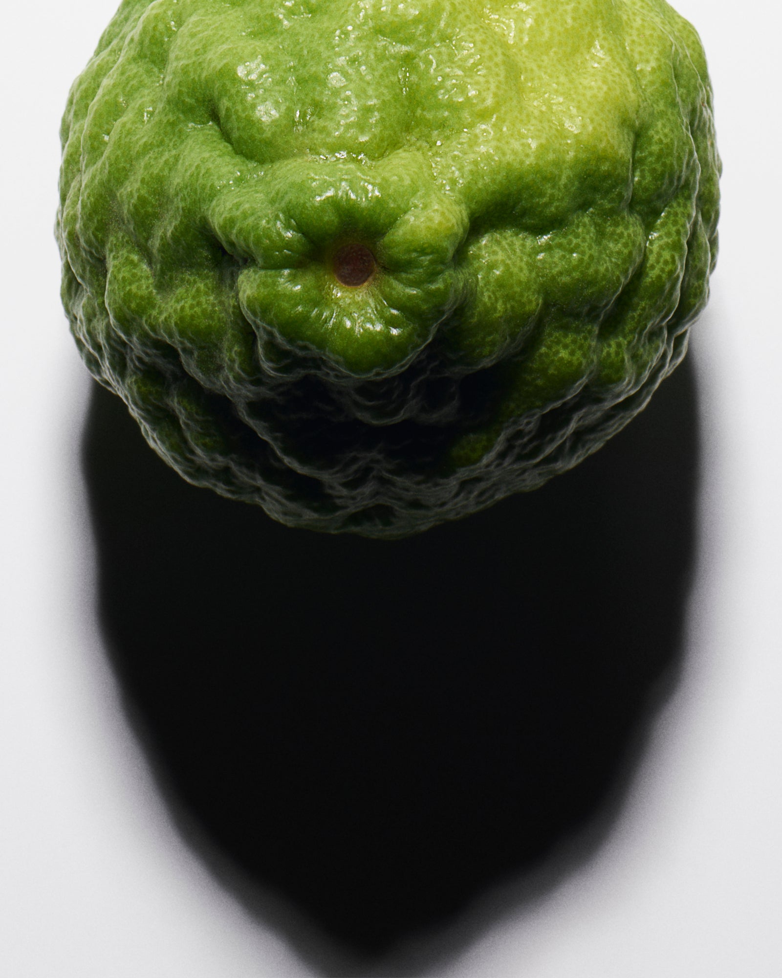 BERGAMOT ACCORD
