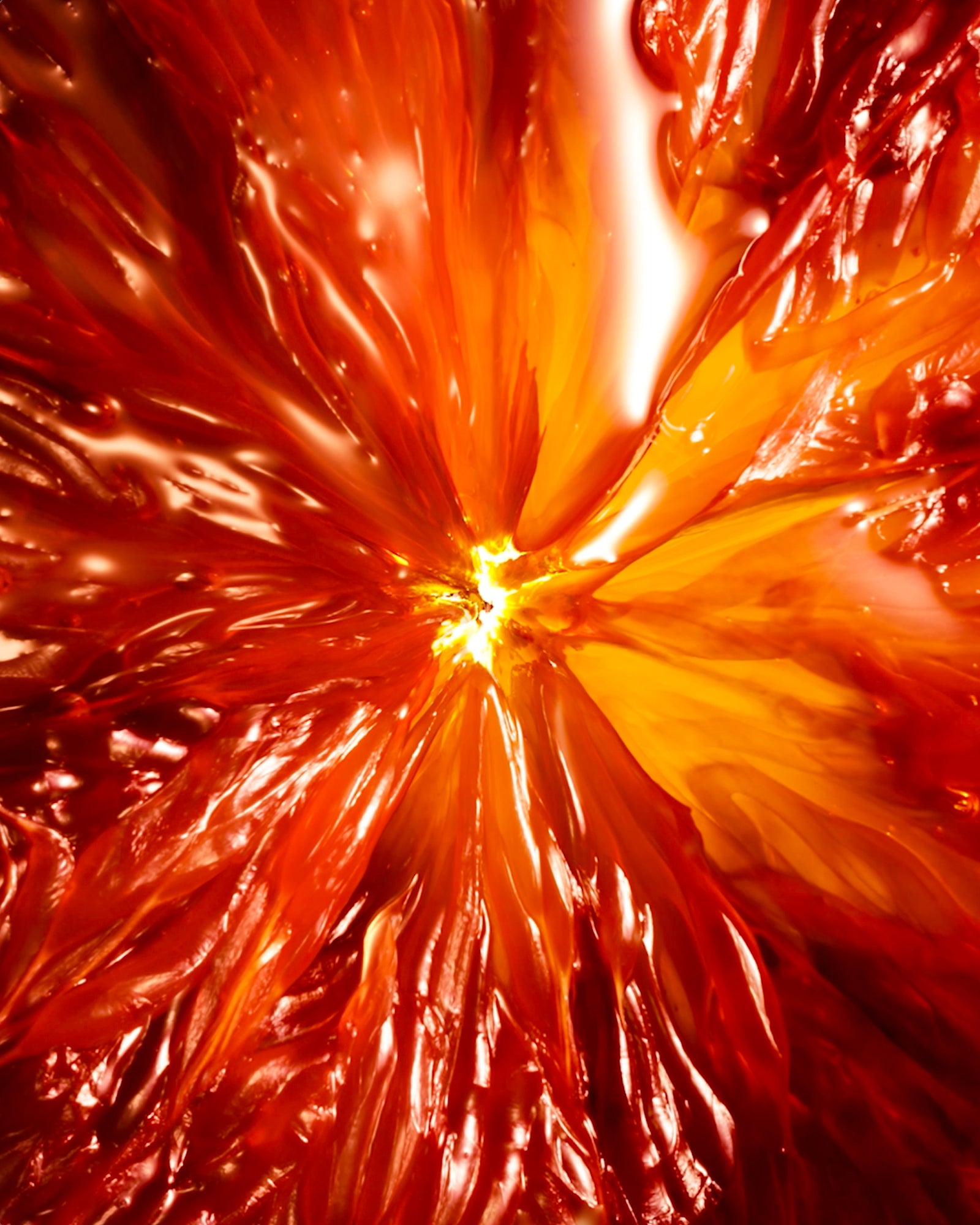 BLOOD ORANGE SICILY​