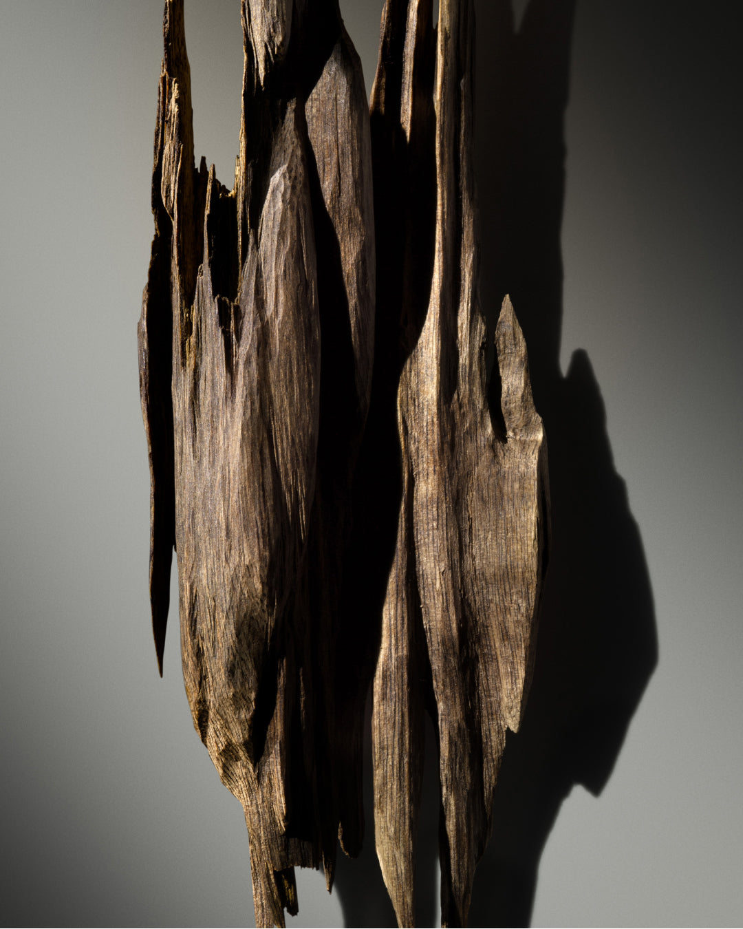 OUD NOTES​