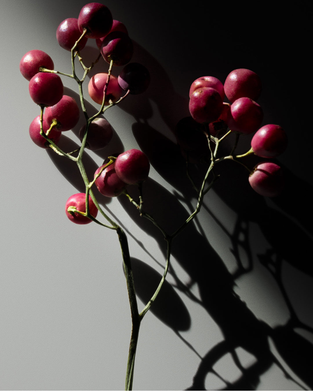 PINK PEPPER​  ​