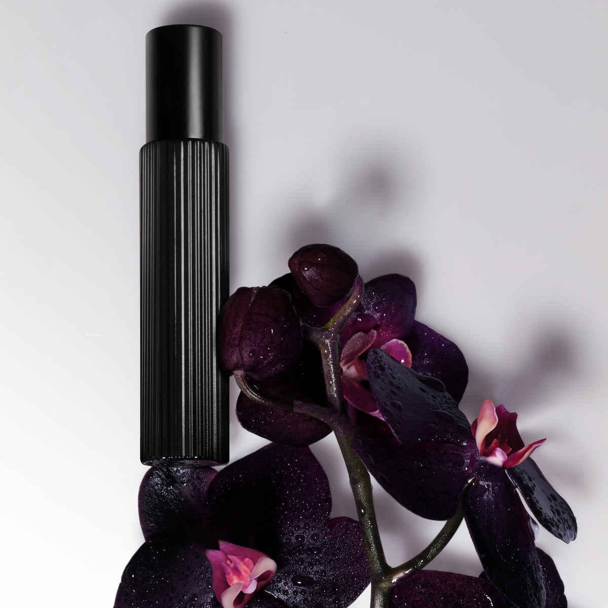 Black Orchid Eau de Parfum Set, Alt