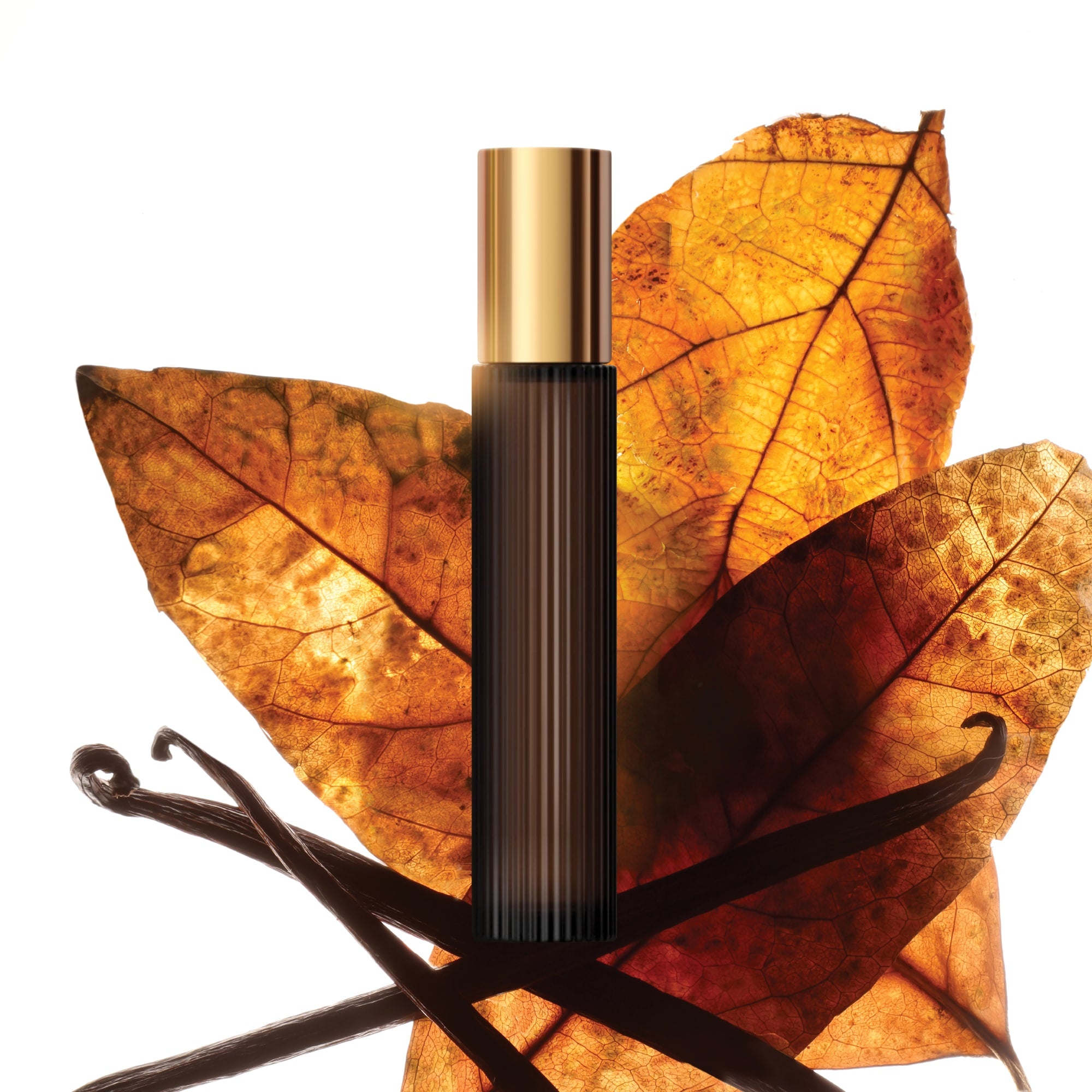Tobacco Vanille Eau de Parfum, 10.0 ml, Smoosh