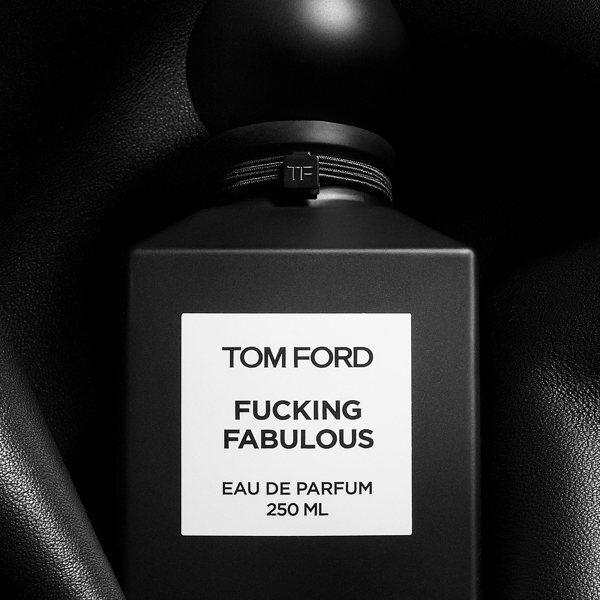 Fucking Fabulous Eau de Parfum, 100.0 ml, Alt