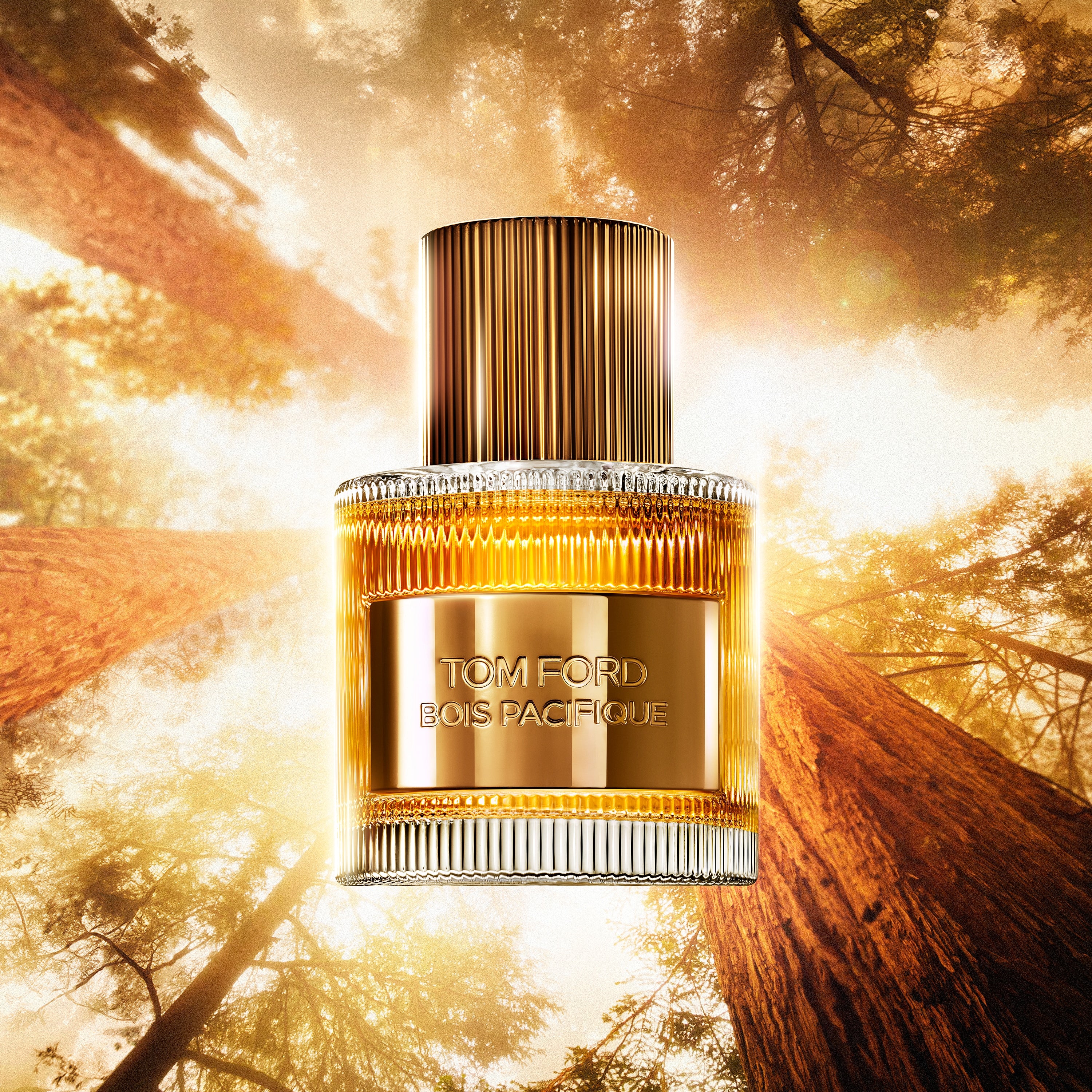 TOM FORD BOIS PACIFIQUE オードパルファム 50ml Bois Pacifique Eau de Parfum | TOM FORD BEAUTY