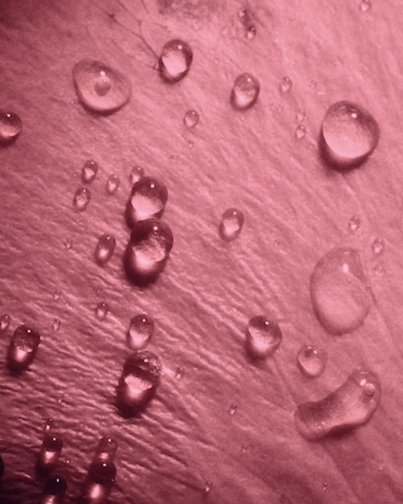 EXCLUSIVE ROSE-ON-ROSE CO-DISTILLATION